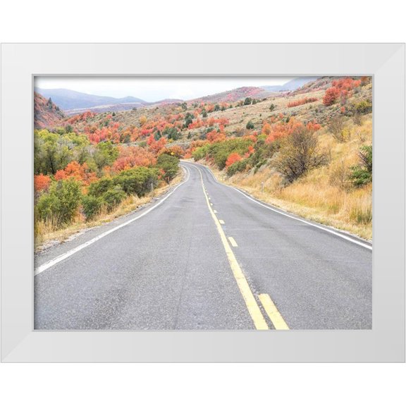 Gulin, Sylvia 18x15 White Modern Wood Framed Museum Art Print Titled - Utah Highway 39 heading west out of Wasatch Mountains with Autumn colors