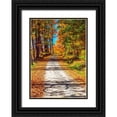 thumbnail image 1 of Gulin, Sylvia 18x24 Black Ornate Wood Framed with Double Matting Museum Art Print Titled - USA-New England-Vermont gravel road lined with sugar maple in full Fall color, 1 of 4