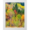 thumbnail image 1 of Gulin, Sylvia 19x24 White Modern Wood Framed Museum Art Print Titled - USA-Idaho-Highway 36 west of Liberty and hillsides covered with Canyon Maple and Aspens in autumn, 1 of 4