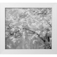 thumbnail image 1 of Gulin, Sylvia 22x20 White Modern Wood Framed Museum Art Print Titled - USA-Washington State-Fall City-Springtime cherry trees blooming along Snoqualmie River, 1 of 4