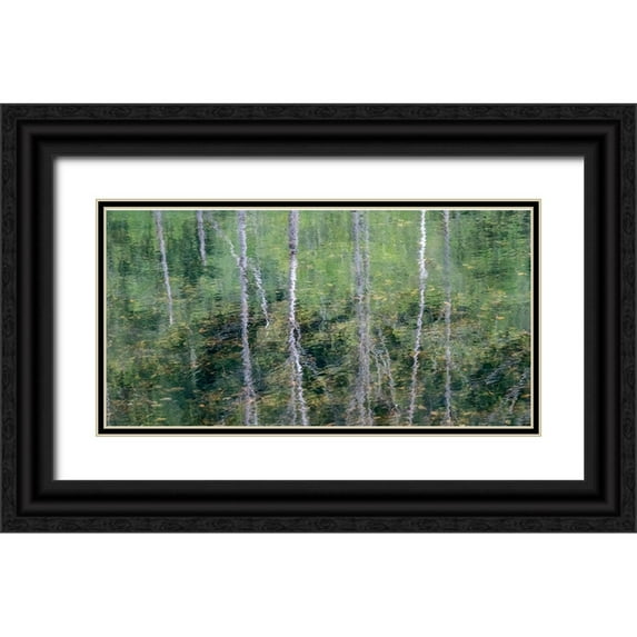 Gulin, Sylvia 24x14 Black Ornate Wood Framed with Double Matting Museum Art Print Titled - USA-Washington State-Old Cascade Highway off of Highway 2 and pond reflecting alder trees