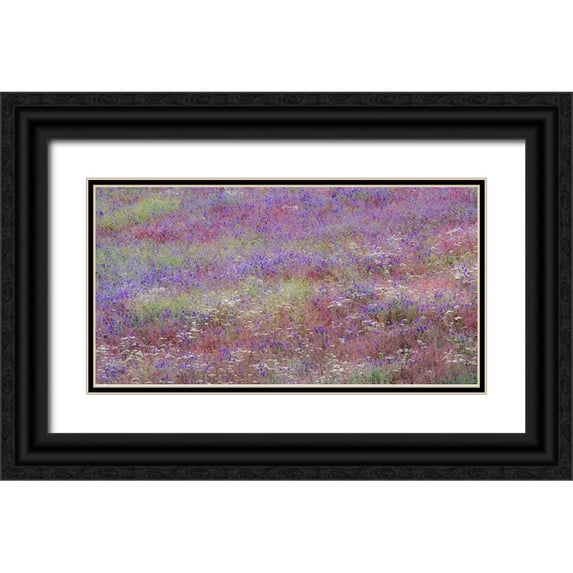 Gulin, Sylvia 24x14 Black Ornate Wood Framed with Double Matting Museum Art Print Titled - USA-Washington State-Palouse vetch growing along road near Winona
