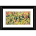 thumbnail image 1 of Gulin, Sylvia 24x15 Black Ornate Wood Framed with Double Matting Museum Art Print Titled - Utah-Logan Pass with Aspen and Maples in Fall Color, 1 of 4