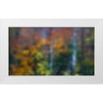 thumbnail image 1 of Gulin, Sylvia 24x15 White Modern Wood Framed Museum Art Print Titled - USA-New Hampshire-Sugar Hill looking through windshield on rainy day with Hardwood trees in Autumn, 1 of 4