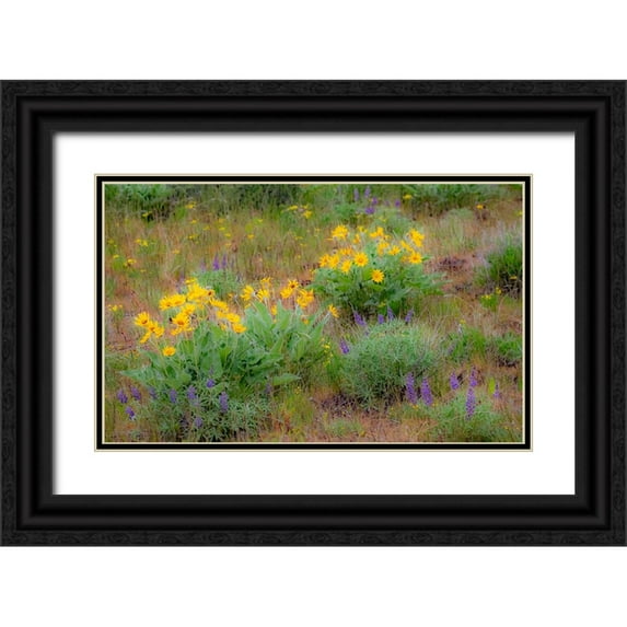 Gulin, Sylvia 24x16 Black Ornate Wood Framed with Double Matting Museum Art Print Titled - USA-Washington State-Table Mountain eastern Cascade Mountains Balsamroot and Lupine