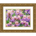 thumbnail image 1 of Gulin, Sylvia 24x18 Gold Ornate Wood Framed with Double Matting Museum Art Print Titled - Oregon-Salem-Bearded Iris springtime bloom, 1 of 4