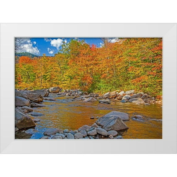 Gulin, Sylvia 24x18 White Modern Wood Framed Museum Art Print Titled - USA-New Hampshire-White Mountains National Forest and Swift River along Highway 112 in Autumn from