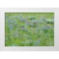 thumbnail image 1 of Gulin, Sylvia 24x18 White Modern Wood Framed Museum Art Print Titled - USA-Washington State-Colfax Palouse field of grass and lupine, 1 of 4