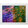 thumbnail image 1 of Gulin, Sylvia 24x18 White Modern Wood Framed Museum Art Print Titled - USA-Washington State-Pacific Northwest-Sammamish colorful flowers and blue picket fence, 1 of 4