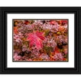 thumbnail image 1 of Gulin, Sylvia 24x19 Black Ornate Wood Framed with Double Matting Museum Art Print Titled - USA-Washington State-Pacific Northwest Sammamish frost rimmed Barberry, 1 of 4