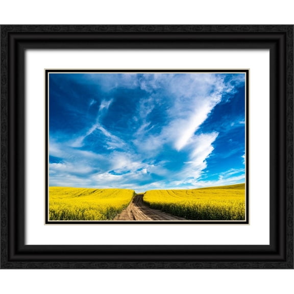 Gulin, Sylvia 24x19 Black Ornate Wood Framed with Double Matting Museum Art Print Titled - USA-Washington State-Palouse canola fields in yellow with dirt road