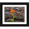 thumbnail image 1 of Gulin, Sylvia 24x19 Black Ornate Wood Framed with Double Matting Museum Art Print Titled - USA-Washington State-Table Mountain eastern Cascade Mountains Indian Paint Brush, 1 of 4