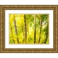 thumbnail image 1 of Gulin, Sylvia 24x19 Gold Ornate Wood Framed with Double Matting Museum Art Print Titled - Hawaii-Maui-Up Country-Kula-Kula Botanical Gardens with small tropical palm trees, 1 of 4