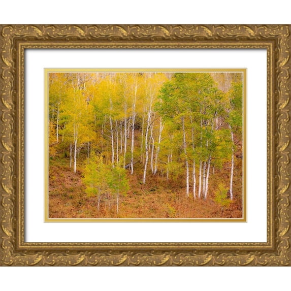 Gulin, Sylvia 24x19 Gold Ornate Wood Framed with Double Matting Museum Art Print Titled - USA-Idaho-Highway 36 west of Liberty and hillsides covered with Aspens in autumn