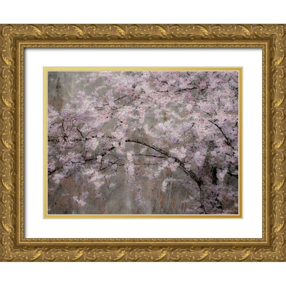 Gulin, Sylvia 24x19 Gold Ornate Wood Framed with Double Matting Museum Art Print Titled - USA-Washington State-Fall City-Springtime cherry trees blooming along Snoqualmie River
