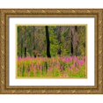 thumbnail image 1 of Gulin, Sylvia 24x19 Gold Ornate Wood Framed with Double Matting Museum Art Print Titled - USA-Washington State-burnt forest and fire weed along Lake Cle Elum Washington Cascades, 1 of 4