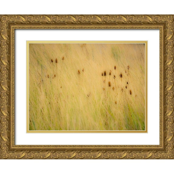 Gulin, Sylvia 24x19 Gold Ornate Wood Framed with Double Matting Museum Art Print Titled - Washington State-Palouse-Eastern Washington and Teasel and grasses gold colors