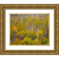 thumbnail image 1 of Gulin, Sylvia 24x20 Gold Ornate Wood Framed with Double Matting Museum Art Print Titled - USA-Idaho-Highway 36 west of Liberty and hillsides covered with Aspens in autumn, 1 of 4