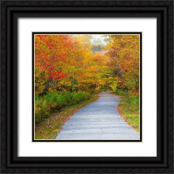Gulin, Sylvia 26x26 Black Ornate Wood Framed with Double Matting Museum Art Print Titled - USA-New Hampshire-Franconia-one lane roadway with fallen Autumn leaves and lined with Fall colored