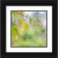 thumbnail image 1 of Gulin, Sylvia 26x26 Black Ornate Wood Framed with Double Matting Museum Art Print Titled - Washington State-Sammamish dew drops on Japanese Maple leaves, 1 of 4