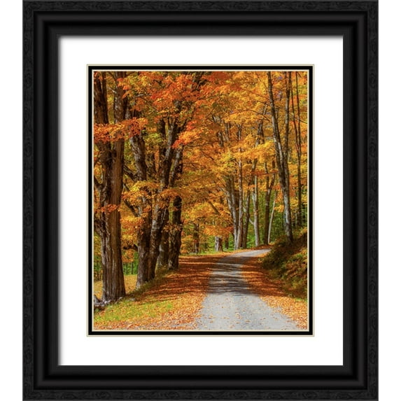 Gulin, Sylvia 26x31 Black Ornate Wood Framed with Double Matting Museum Art Print Titled - USA-New England-Vermont gravel road lined with sugar maple in full Fall color