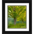 thumbnail image 1 of Gulin, Sylvia 26x31 Black Ornate Wood Framed with Double Matting Museum Art Print Titled - USA-Washington State-Bellevue Ginkgo Tree in Autumn colors, 1 of 4