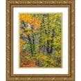 thumbnail image 1 of Gulin, Sylvia 26x32 Gold Ornate Wood Framed with Double Matting Museum Art Print Titled - USA-Washington State-Easton and fall colors on Big Leaf Maple and Vine Maple, 1 of 4
