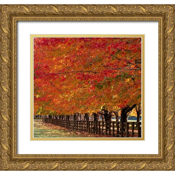 Gulin, Sylvia 28x26 Gold Ornate Wood Framed with Double Matting Museum Art Print Titled - USA-Washington State-North Bend fence and tree lined driveway in fall colors