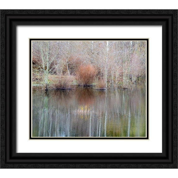 Gulin, Sylvia 30x26 Black Ornate Wood Framed with Double Matting Museum Art Print Titled - USA-Washington State-Sammamish springtime and alder trees and their reflections in small pond