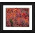 thumbnail image 1 of Gulin, Sylvia 31x26 Black Ornate Wood Framed with Double Matting Museum Art Print Titled - USA-Idaho-St Charles-hillside along dirt road 411 and Fall colored Canyon Maples in Reds, 1 of 4