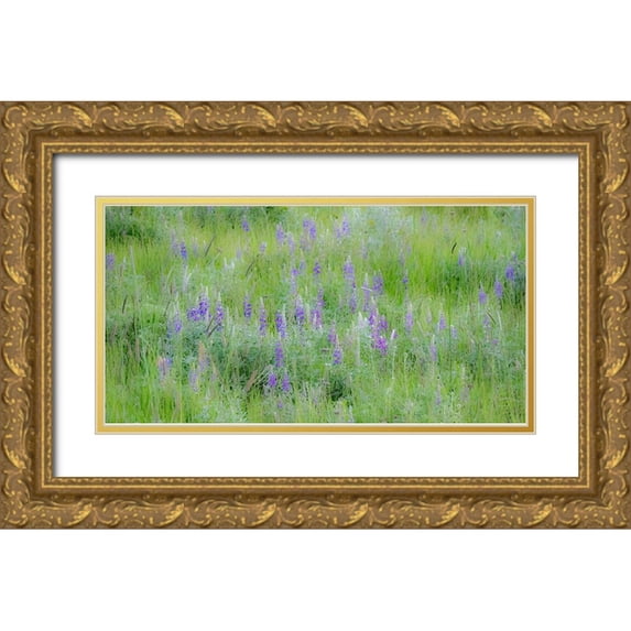 Gulin, Sylvia 32x19 Gold Ornate Wood Framed with Double Matting Museum Art Print Titled - USA-Washington State-Colfax Palouse field of grass and lupine