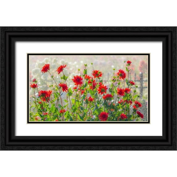 Gulin, Sylvia 32x20 Black Ornate Wood Framed with Double Matting Museum Art Print Titled - Oregon-Canby-Swam Island Dahlias-water coming down on flowers