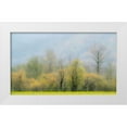 thumbnail image 1 of Gulin, Sylvia 32x20 White Modern Wood Framed Museum Art Print Titled - USA-Washington State-North Bend Cottonwood and Willow trees in fall colors, 1 of 4