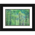thumbnail image 1 of Gulin, Sylvia 32x23 Black Ornate Wood Framed with Double Matting Museum Art Print Titled - USA-Washington State-Pacific Northwest Preston and just leafing out Cottonwoods, 1 of 4