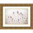 thumbnail image 1 of Gulin, Sylvia 32x23 Gold Ornate Wood Framed with Double Matting Museum Art Print Titled - Oregon-Eugene-mornings frost on teasel, 1 of 4