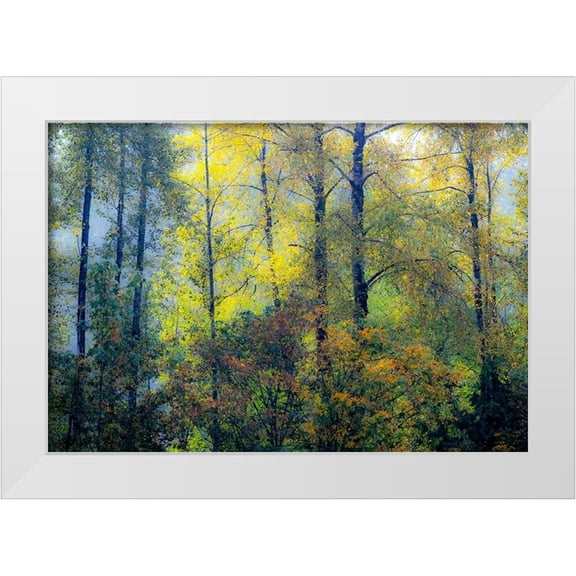 Gulin, Sylvia 32x23 White Modern Wood Framed Museum Art Print Titled - USA-Washington State-Preston with Cottonwoods in fall color