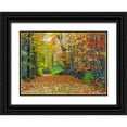thumbnail image 1 of Gulin, Sylvia 32x24 Black Ornate Wood Framed with Double Matting Museum Art Print Titled - USA-New Hampshire leaf covered lane Autumn colors and stone fence, 1 of 4