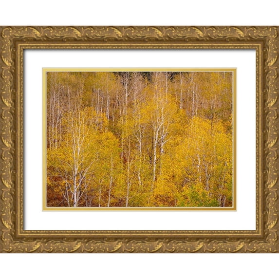 Gulin, Sylvia 32x24 Gold Ornate Wood Framed with Double Matting Museum Art Print Titled - USA-Idaho-Highway 36 west of Liberty and hillsides covered with Aspens in autumn