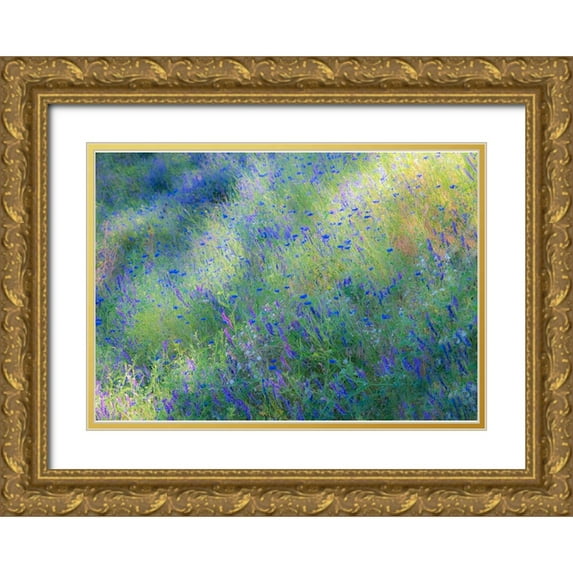 Gulin, Sylvia 32x24 Gold Ornate Wood Framed with Double Matting Museum Art Print Titled - USA-Washington State-Palouse and field of blue bachelor buttons flowering