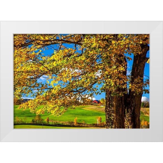 Gulin, Sylvia 32x24 White Modern Wood Framed Museum Art Print Titled - USA-New England-Vermont red barn in the countryside with Fall colors