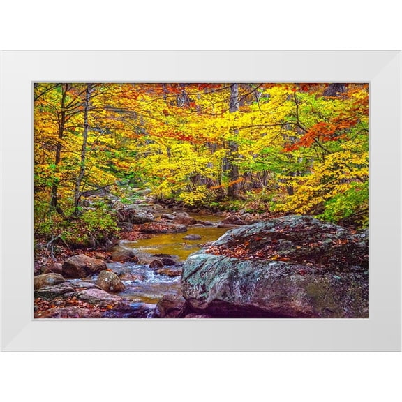 Gulin, Sylvia 32x24 White Modern Wood Framed Museum Art Print Titled - USA-New Hampshire-New England-Jackson small stream surrounded in Fall color