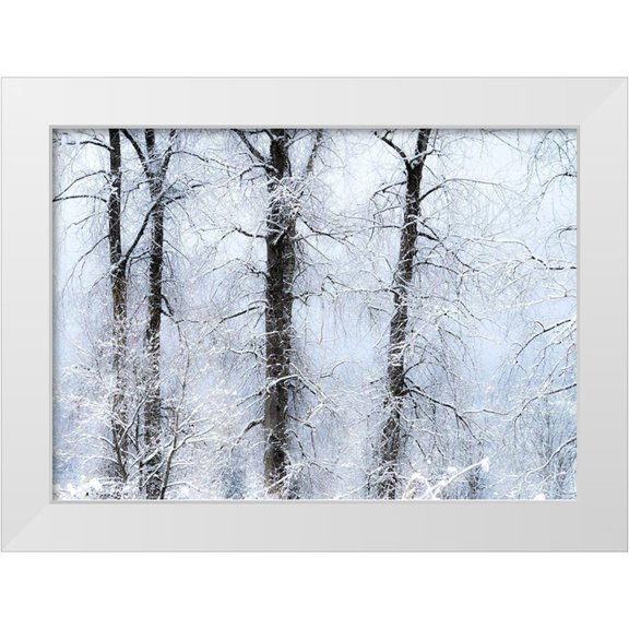 Gulin, Sylvia 32x24 White Modern Wood Framed Museum Art Print Titled - Washington State-Fall City valley with fresh snows on Cottonwoods