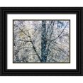 thumbnail image 1 of Gulin, Sylvia 32x25 Black Ornate Wood Framed with Double Matting Museum Art Print Titled - USA-Washington State-Fall City wild cherry springtime blooming, 1 of 4