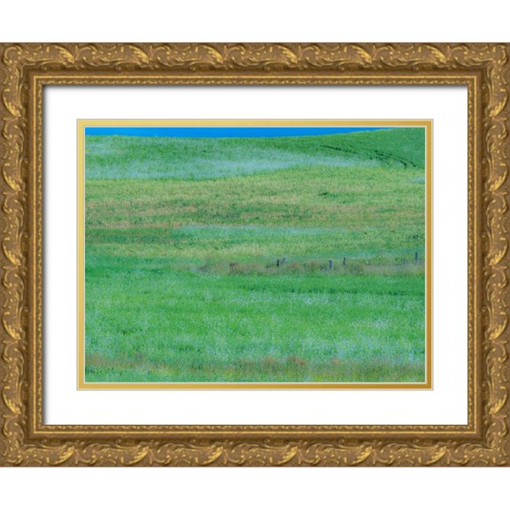 Gulin, Sylvia 32x25 Gold Ornate Wood Framed with Double Matting Museum Art Print Titled - USA-Washington State-Palouse grass fields that were not being farmed