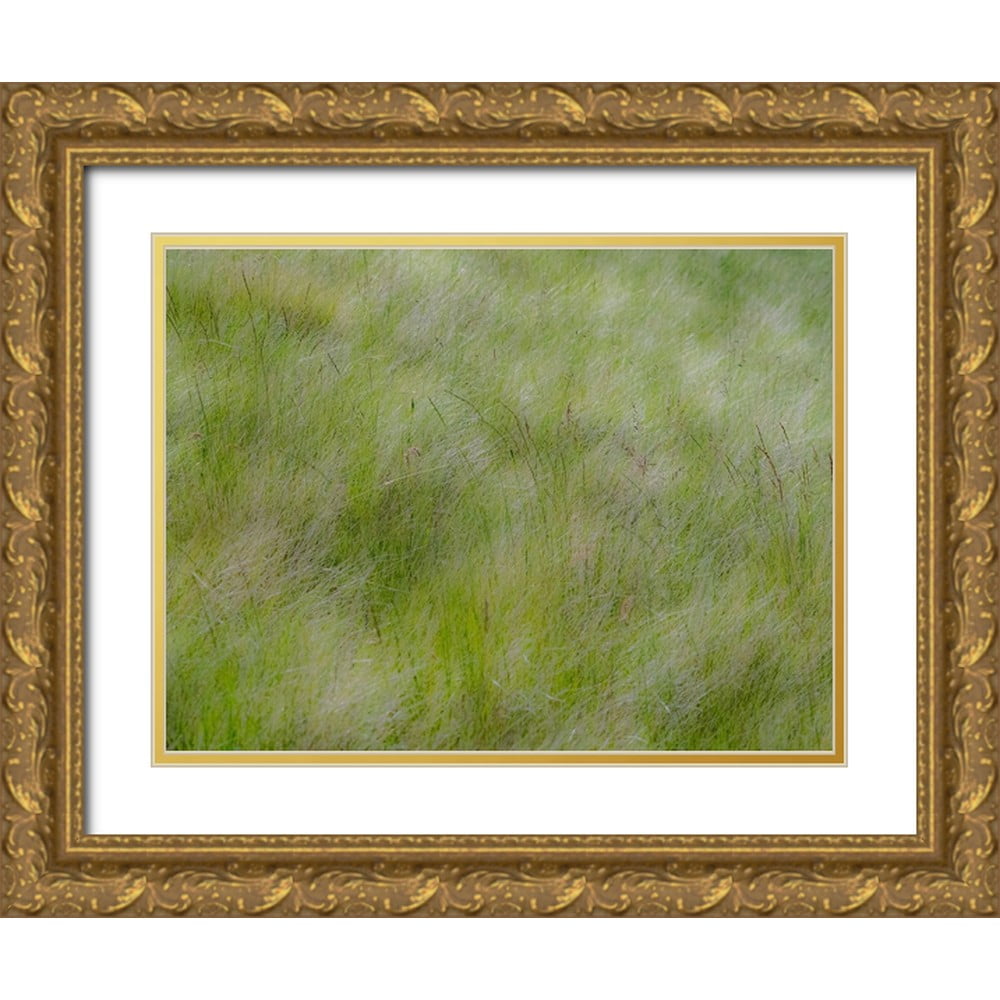 Gulin, Sylvia 32x25 Gold Ornate Wood Framed with Double Matting Museum