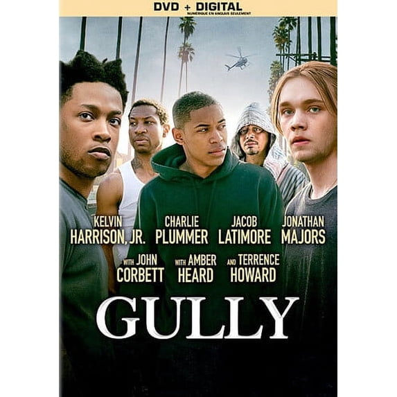 Gully (DVD)