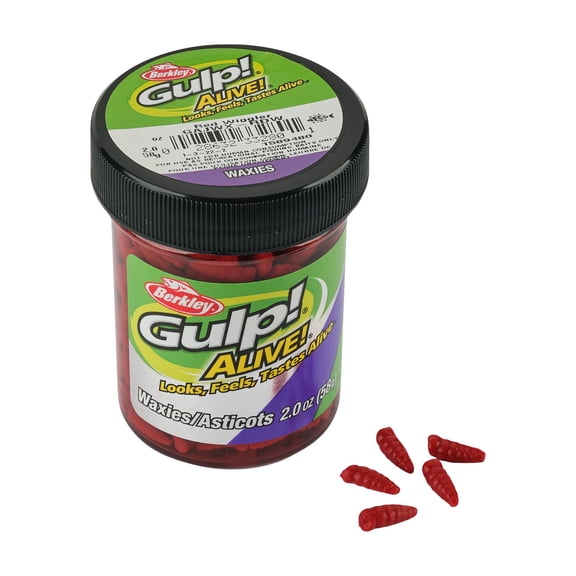 Berkley Gulp! Alive!® Waxies, 0.5 in, Worms, Red Wiggler (1 Count)