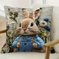 thumbnail image 1 of Gumesh 18x18 Inch Short Plush Pillow Cover - Cute Animal Embroidery Decorative Throw Pillowcase for Sofa, Bed, Living Room, 1 of 6