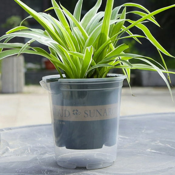Gumesh Clear Self-Watering Plastic Planter - 6" Large Automatic Watering Flower Pot with Reservoir Perfect for Succulents, Herbs, Indoor Plants