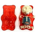 thumbnail image 1 of Gummi Bear Anatomy Model (Red), 1 of 1